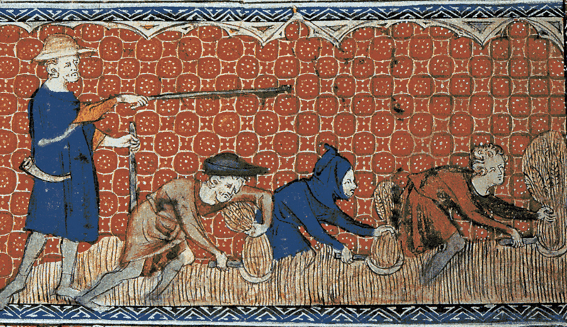 Medieval labourers working the land.